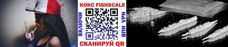 Cocaine FishScale  магазин    Крым 