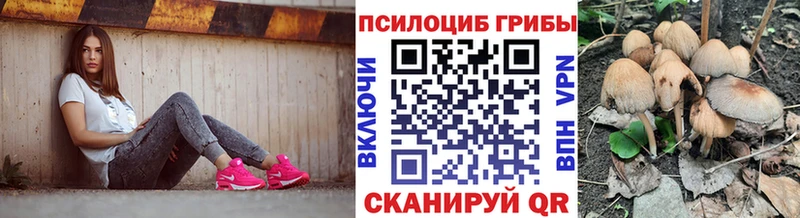 гидра зеркало  Крым  Галлюциногенные грибы мицелий 